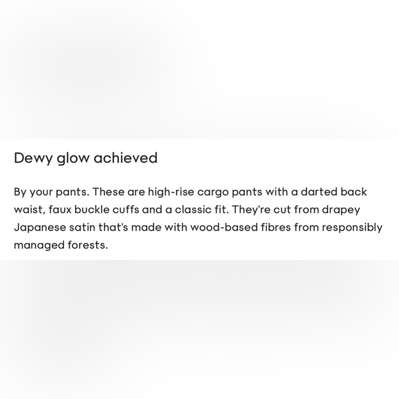 Aritzia Babaton refined cargo satin pants in black size 8 - Picture 10 of 11